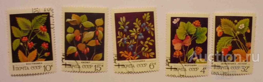 МАРКИ СССР ДИКИЕ ЯГОДЫ   5 ШТ 1982