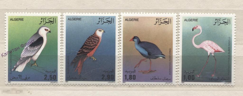 Алжир. Птицы: фламинго, коршун, султанка. Mi/ 948-951. 1987 г. (7)