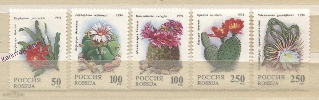 Россия. Флора. Кактусы. №/144-148. 1994 г. (2)