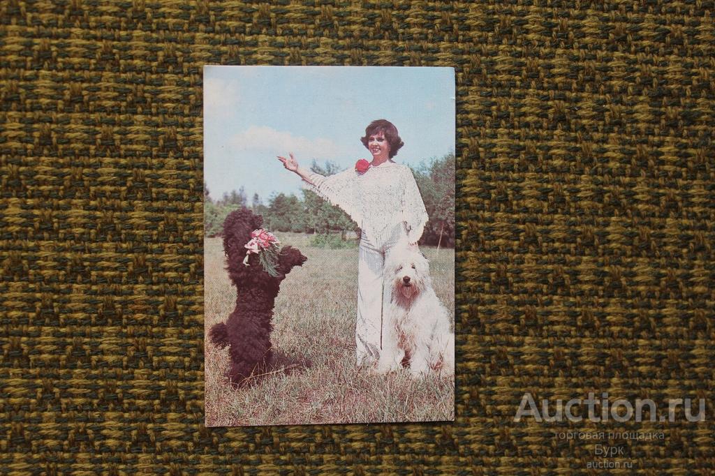 карманный календарик 1983 Цирк Виктория Сквирская дрессура