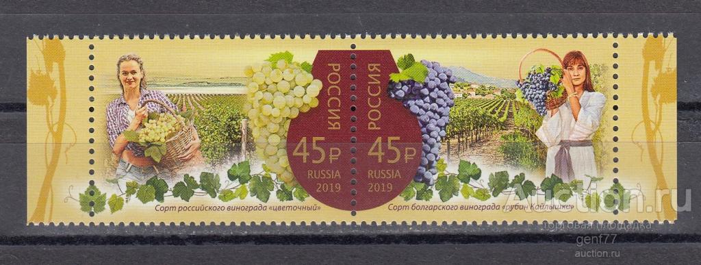РОССИЯ 2019  Виноград Сцепка   Сост** MNH