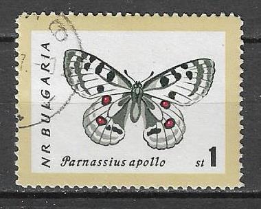 Болгария 1962 г. Бабочка Насекомые Фауна, гаш.