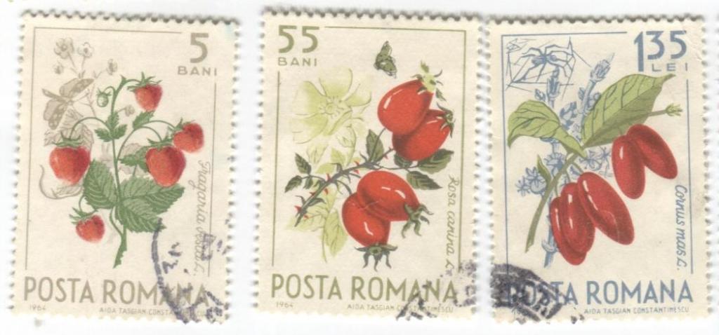 1964 Румыния лесные Ягоды 3м гаш