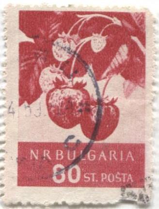 1958 Болгария Фрукты Земляника 1м гаш