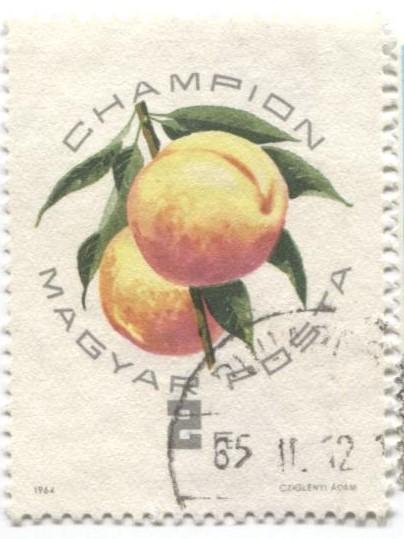 1964 Венгрия Персики 1м гаш