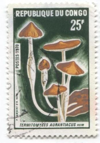 1970 Конго Грибы. 1м гаш