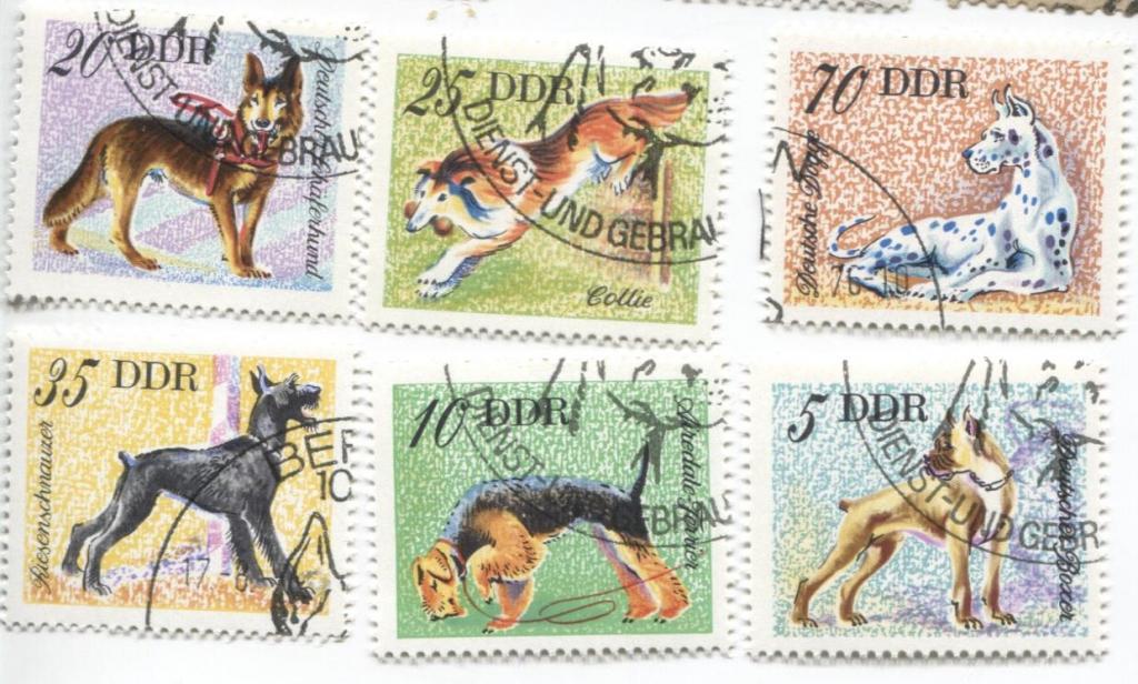 1976 Германия ГДР Собаки Ручные породы собак 6м .гаш