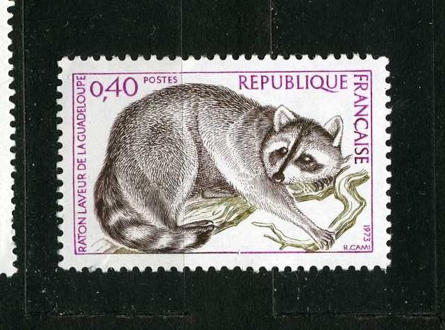 Франция. Охрана природы. Фауна. Енот из Гваделупы. Серия. 1973.**