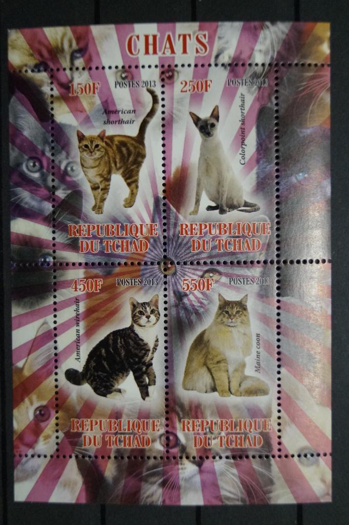 Чад 2013г. Кошки лист из 4 марок