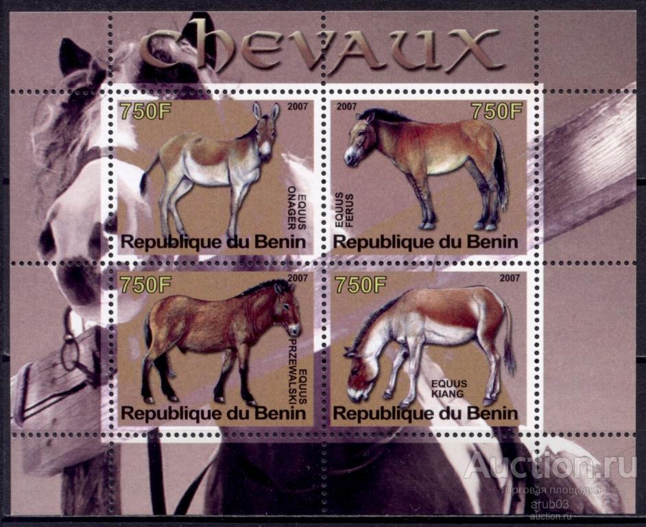 Бенин 2007 Фауна Животные Лошади Породы лошадей 1блок** |F1-25|