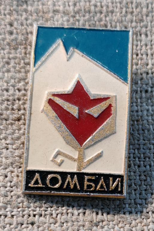 Домбай, цветок, горы, альпинизм, туризм. СССР.