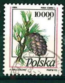 Польша 1993  Mi# 3456   Стандарт Хвойное дерево гаш
