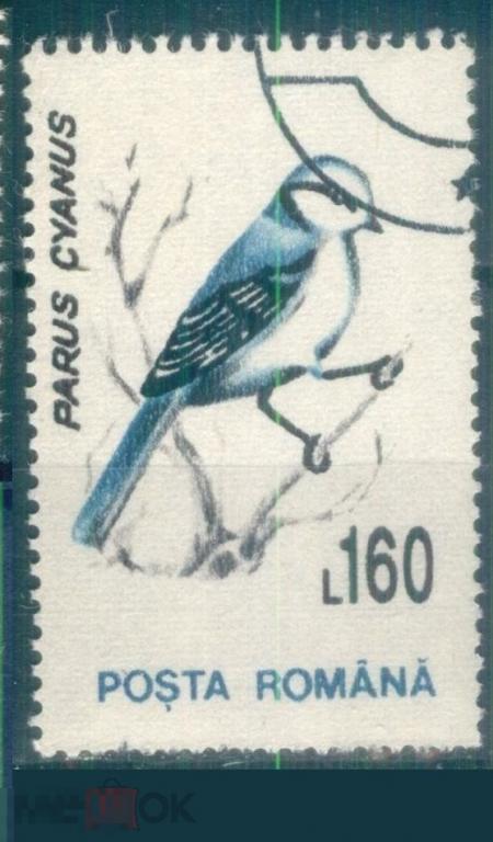 Румыния 1993 Mi#.487x    Птицы   гаш