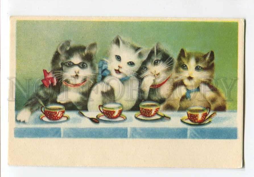 Доброе майское утро субботы. Прикольные пожелания субботнего утра. Доброе субботнее утро. Доброе утро субботы. С добрым майским утром.