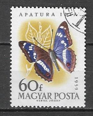Венгрия 1959 г. Бабочки Насекомые Фауна, гаш.