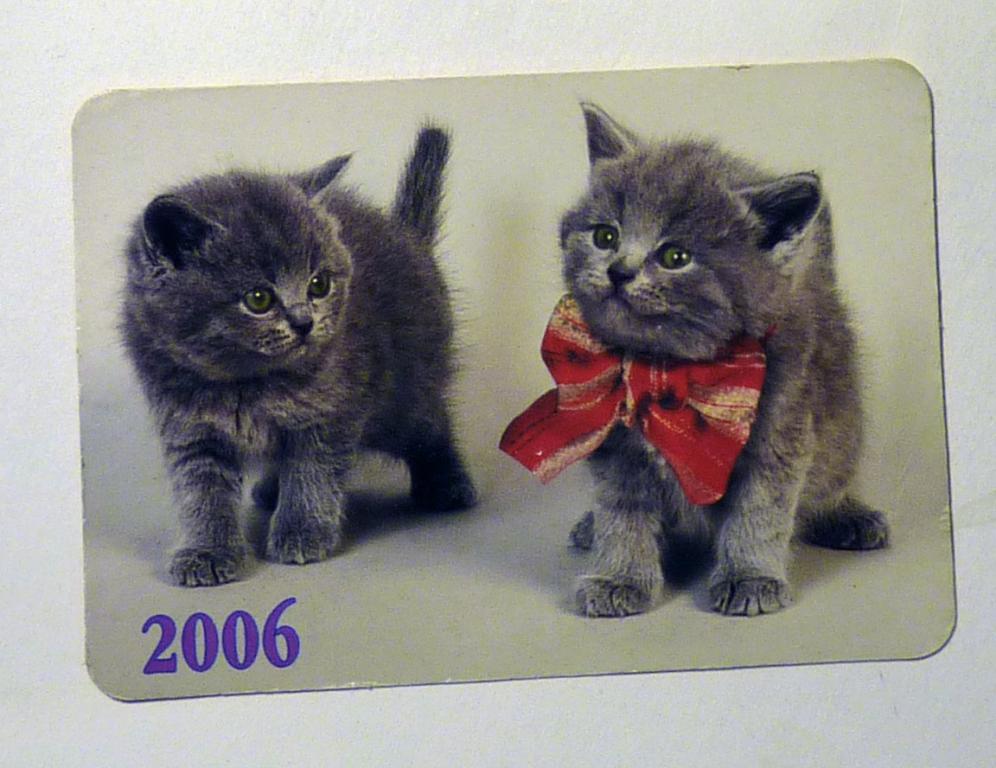Календарик карманный 2006 Кошки котята