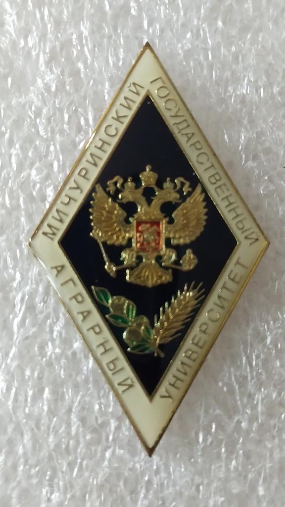 Образование. Ромб Мичуринский государственный аграрный университет. Мичуринский ГАУ