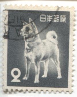 1952 Япония.Растения животные культурное наследие. Собака 1м.гаш