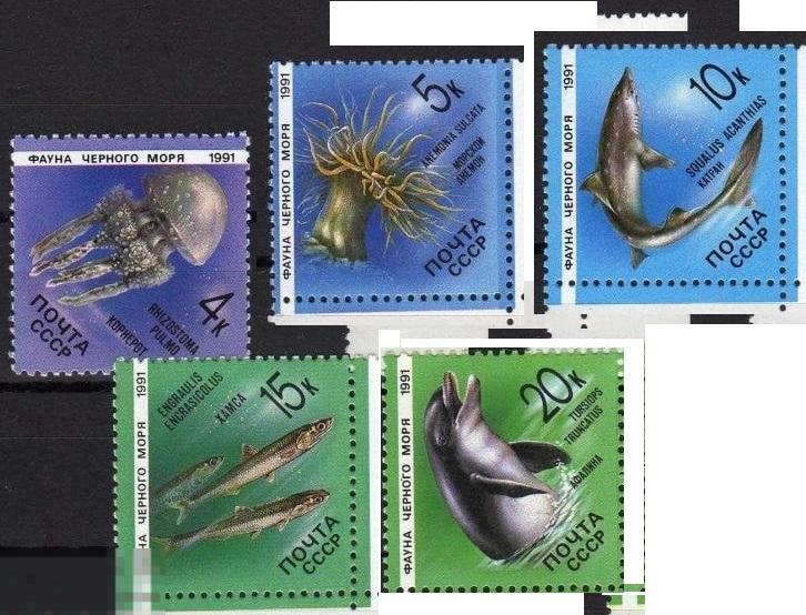 СССР 1991 МОРЕ РЫБЫ ДЕЛЬФИН МЕДУЗА