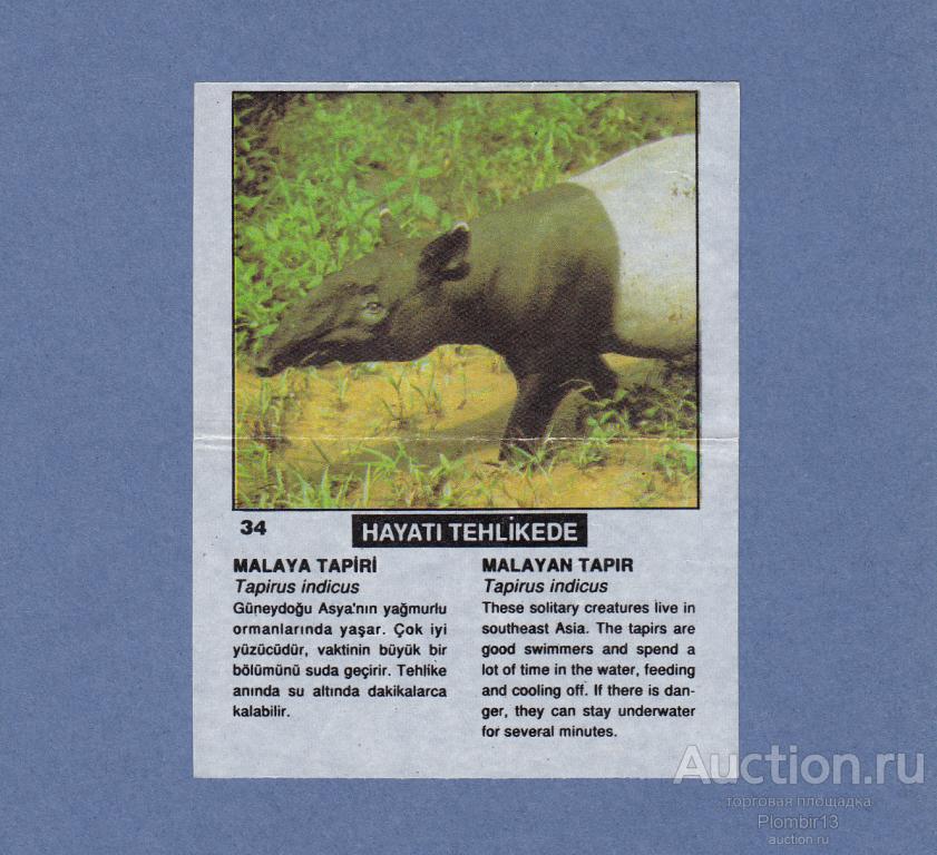 Вкладыш Cin Cin CinCin звери №34