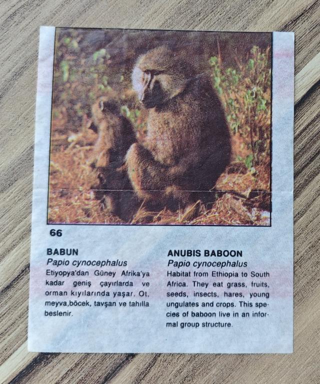 Вкладыш Cin Cin CinCin ЧинЧин Чин Чин звери Dandy № 66