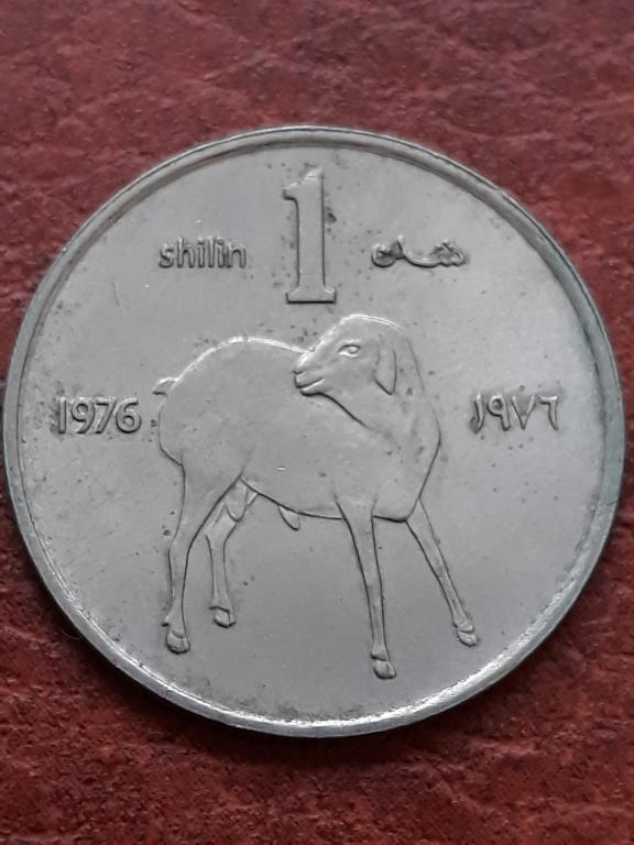 Сомали 1 шиллинг 1976 КМ 27