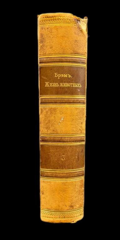 "ЖИЗНЬ ЖИВОТНЫХ", БРЭМ! СЕРИЯ "ВСЯ ПРИРОДА", ИЗДАТЕЛЬСТВО «ПРОСВЕЩЕНИЕ» 1902 г. ТОМ 3!