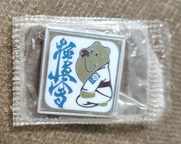 Знак Мишка- Каратист, Медведь, Карате, Кимоно, Дзюдо, Самбо, Ситалл, Зеркальный