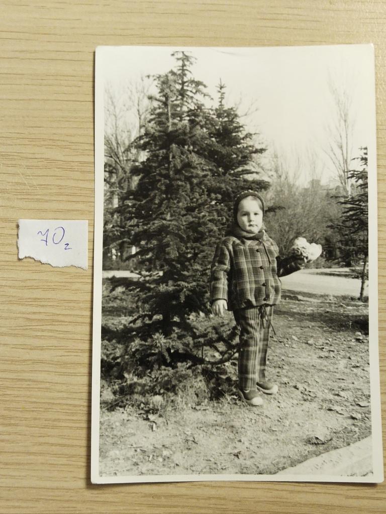 Фотография "Ребёнок около ёлочки". СССР. 70-е годы."