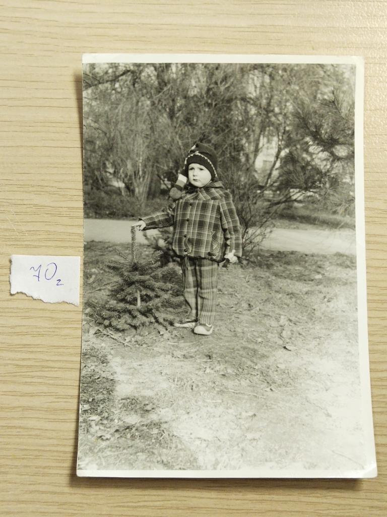 Фотография "Ребёнок в шапке с помпоном около маленькой ёлочки". СССР. 70-е годы."