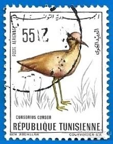 Тунис 1966 MiNr 655 Птицы. Бегунок (1/4) (0.7 € | $ 0.55) U