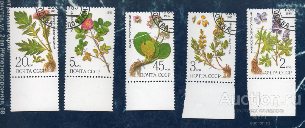 СССР 1985 Лекарственные растения Сибири  гашён