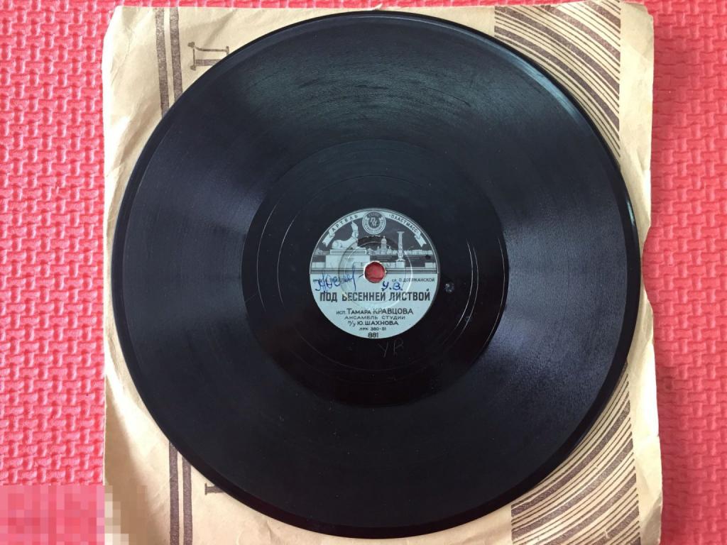 Артель Пластмасс Марианна, Под весенней листвой ансамбль под управлением Шахнова