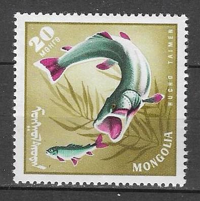 Монголия 1965 г. Рыбы Фауна **