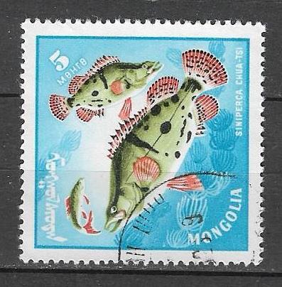 Монголия 1965 г. Рыбы Фауна, гаш.