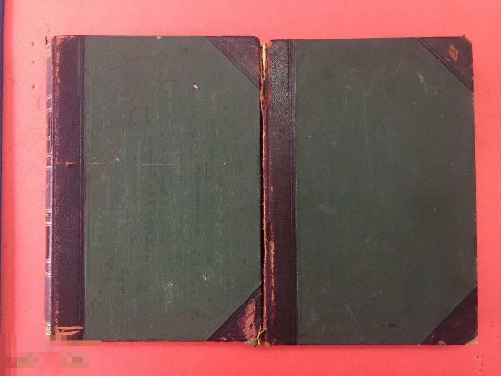 Неймар М. История Земли. В 2 томах. Книгоиздательское Товарищество "Просвещение". 1904 г.