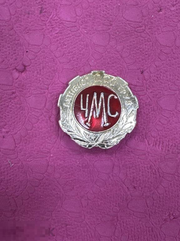 ДСО Труд. Активист ЧМС Челябинск