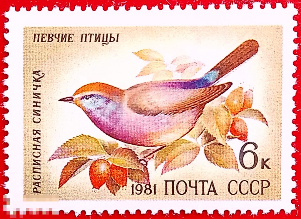 СССР 1981 Певчие птицы / Расписная синичка** №5221,