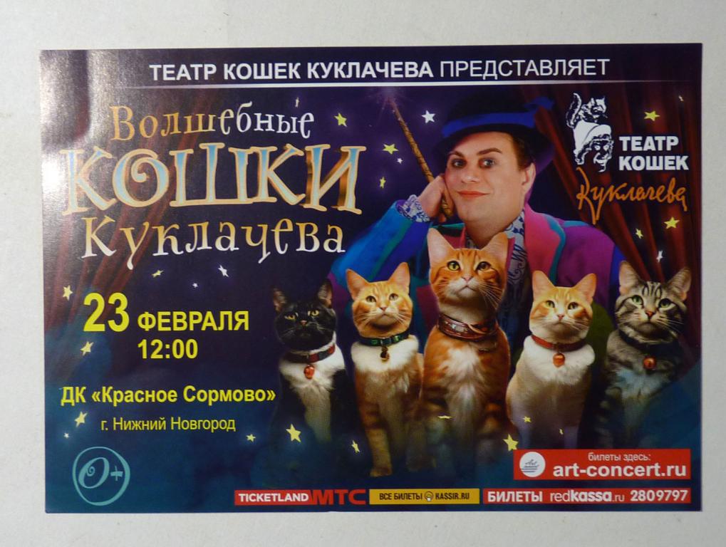Флаер реклама 2025 "Волшебные кошки Куклачева" Нижний Новгород ДК "Красное Сормово"