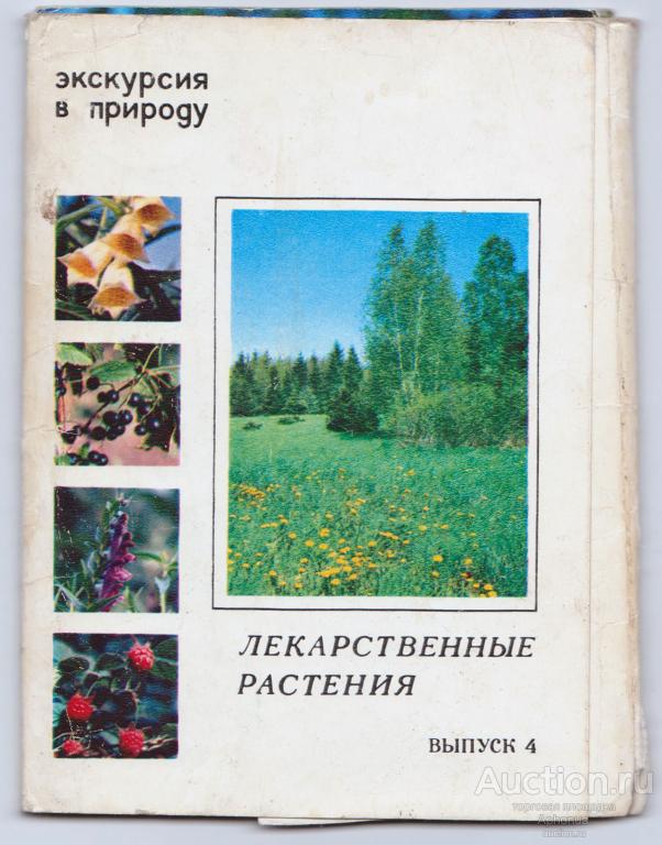 Лекарственные растения. Выпуск 4 из серии "Экскурсия в природу". Издательство "Планета" Москва, 1980