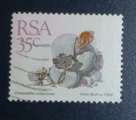 ЮАР 1988 Mi# 752 Суккуленты