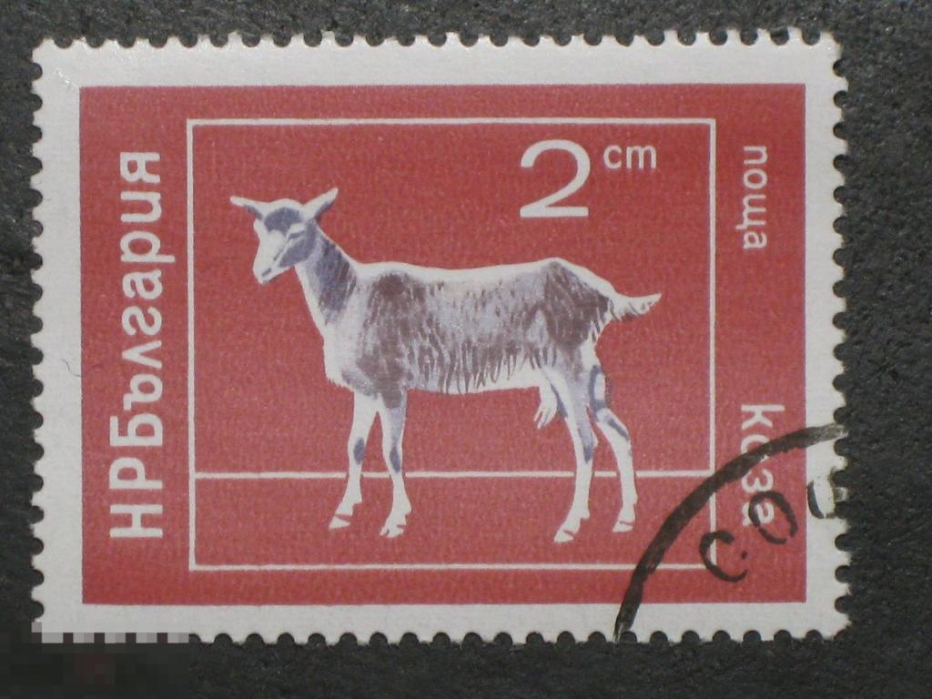 Болгария 1974 Фауна Домашние животные Коза марка 0.02 из серии