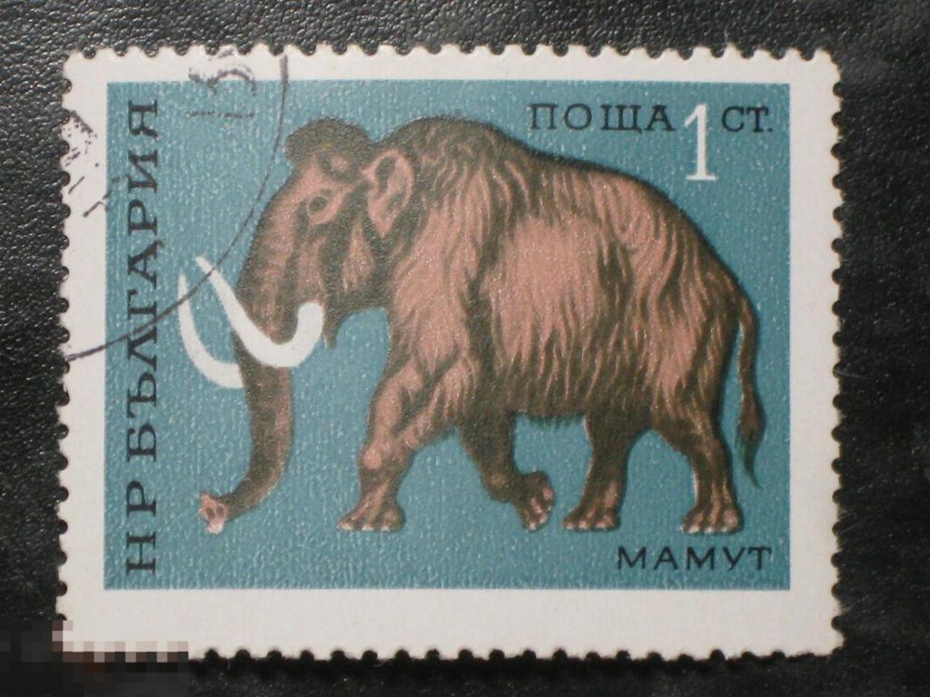 Болгария 1971 Фауна Мамонт марка 0.01 из серии (и2)