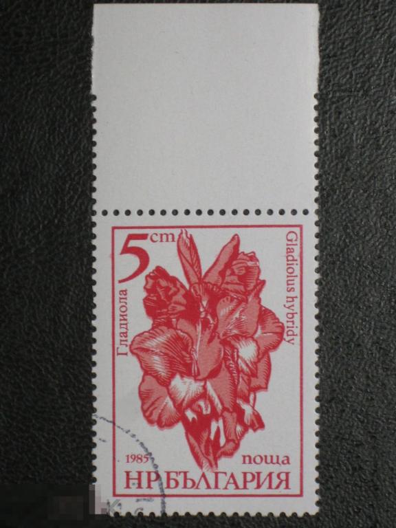 Болгария 1985 Флора Садовые цветы Гладиолус марка 0.05 из серии (и1)
