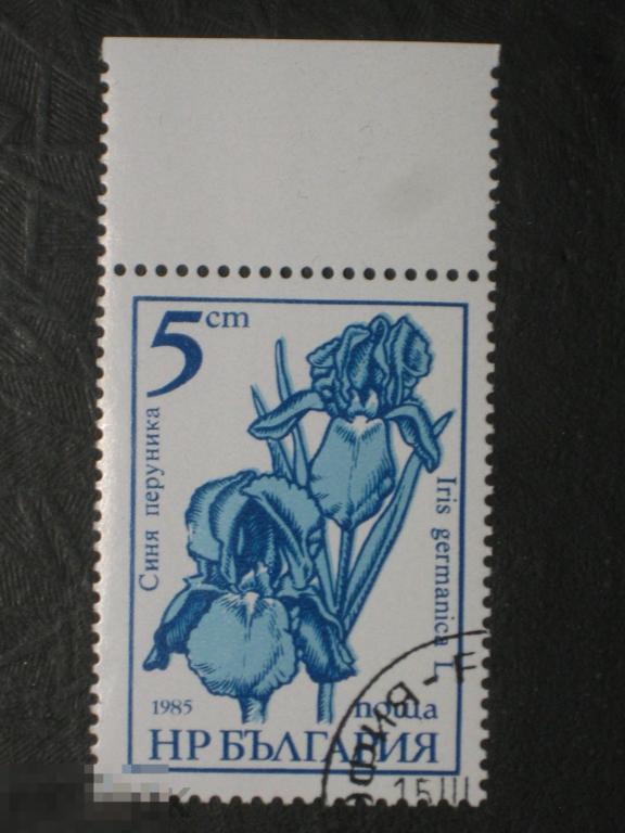 Болгария 1985 1987 Флора Садовые цветы Ирис марка 0.05 из серии