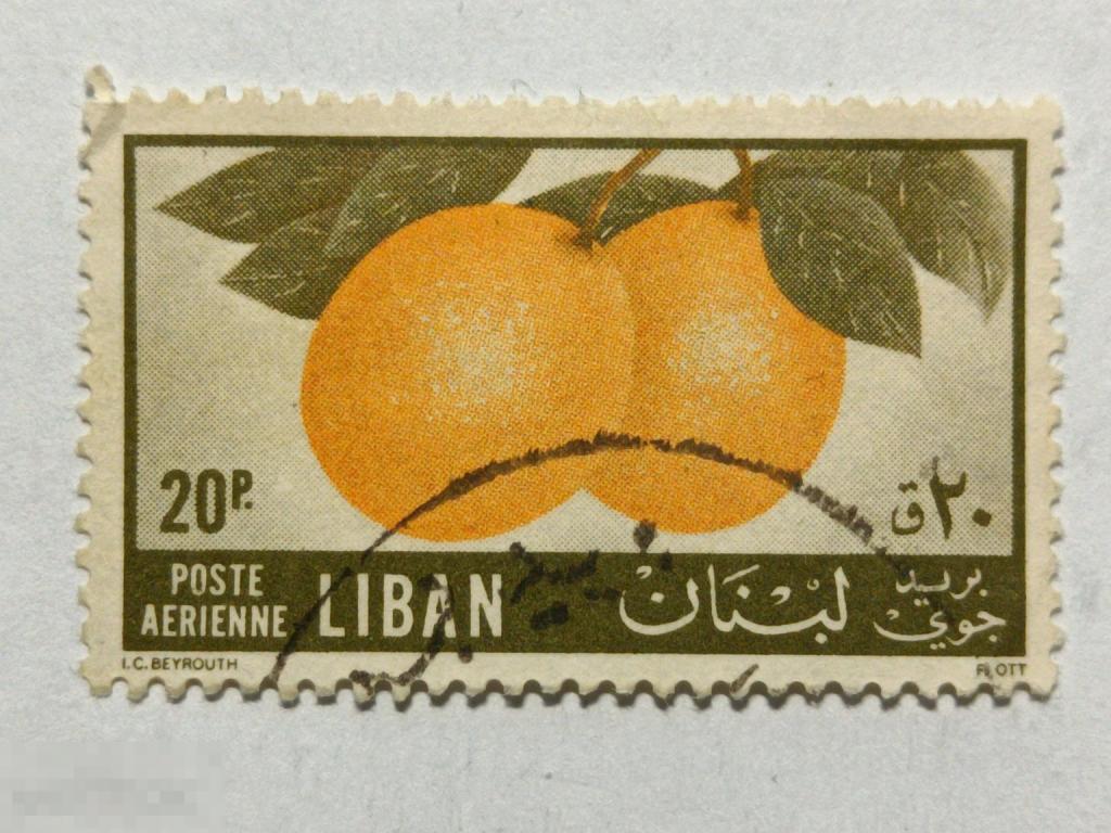 Ливан 1955 Флора Фрукты Апельсин марка 20 из серии