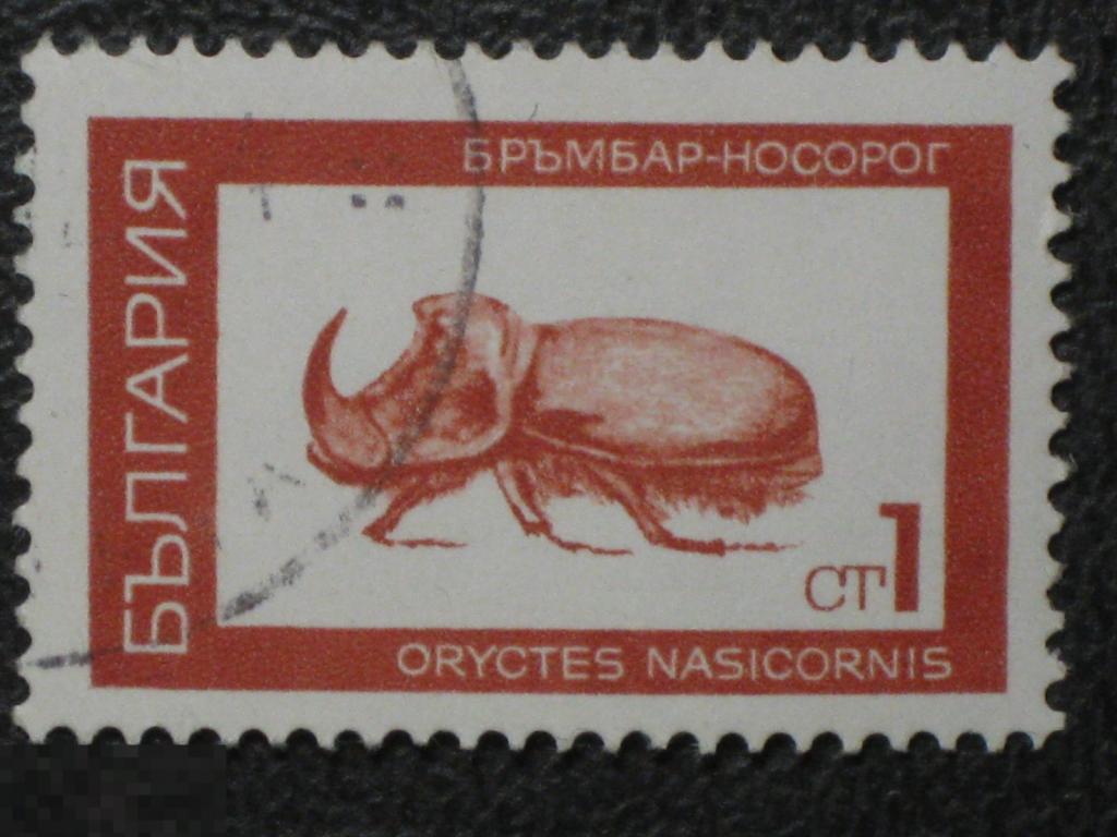 Болгария 1968 Фауна Насекомые Жуки Носорог марка 0.01 из серии