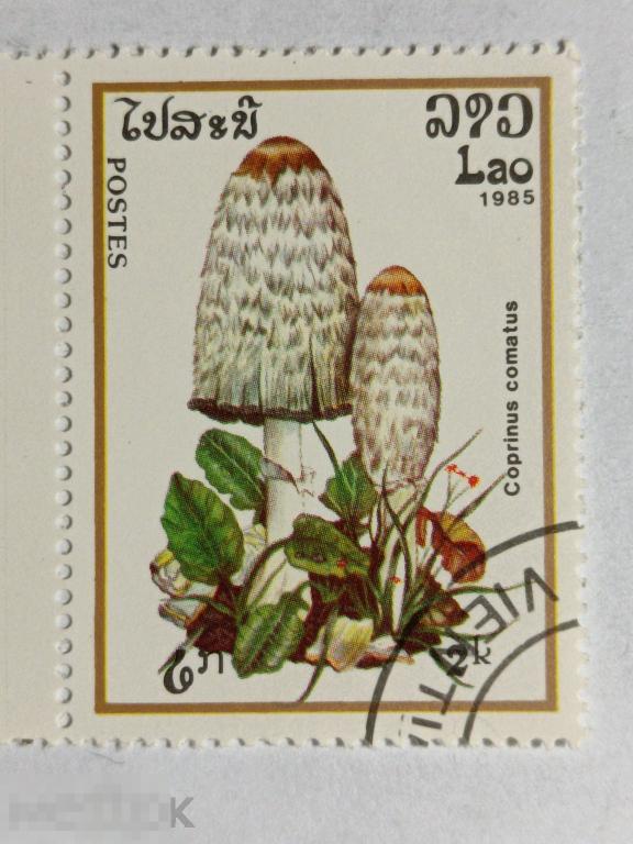 Лаос 1985 Грибы марка 2 из серии