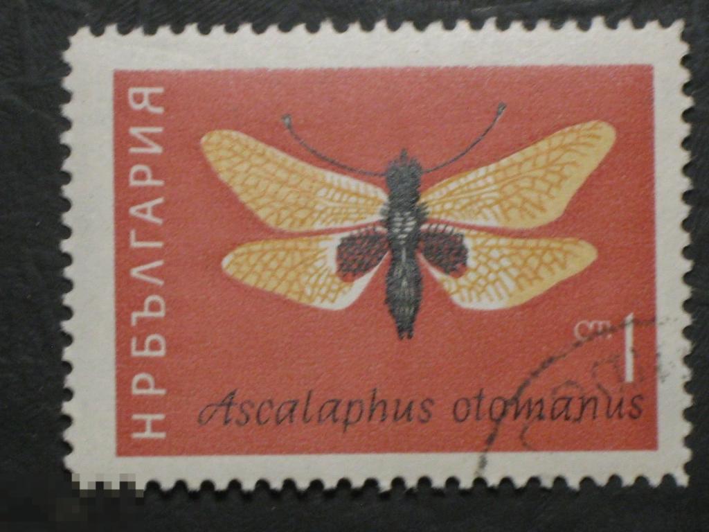 Болгария 1964 Фауна Насекомые марка 0.01 из серии