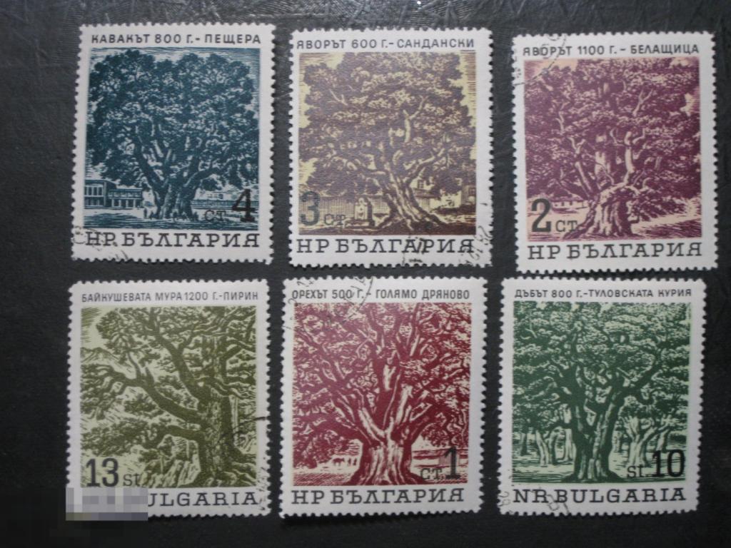 Болгария 1964 Флора Вековые деревья 6 марок полная серия